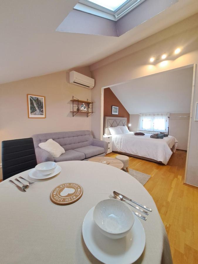 Casa Antonio With Swimming Pool Apartment Novigrad  Exterior photo