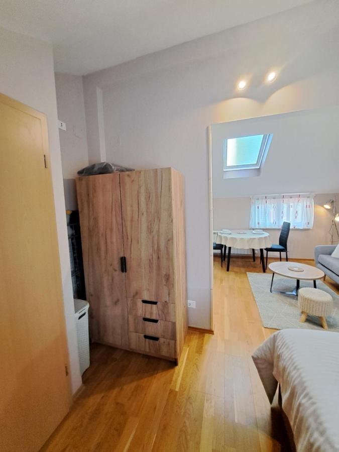 Casa Antonio With Swimming Pool Apartment Novigrad  Exterior photo